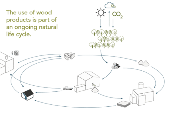 ciclul de carbon sustenabil in procesarea lemnului