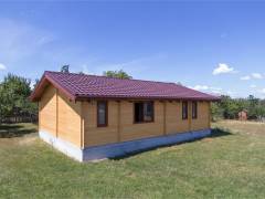 proiecte-case-din-lemn